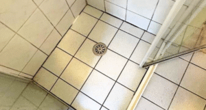 The Ugly Truth About-Mould