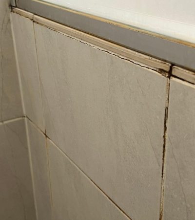 Mouldy-Discoloured-Joints-2025